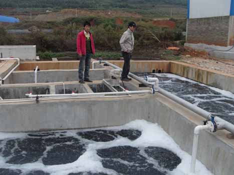 造紙廠廢氣案例